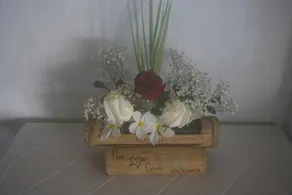 Hosteria Tsafiki - Image 3