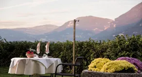 Park Hotel Margreid - Image 3