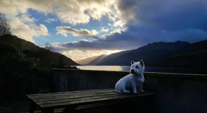 Arrochar Alps Apartment - Image 2