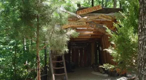 Fox Pass Cabins - Image 5