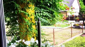 House In The Woods - Image 4