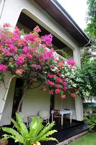 Royal Tourist Lodge - Image 2