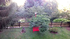 B&B La Capanna Rossa - Image 4