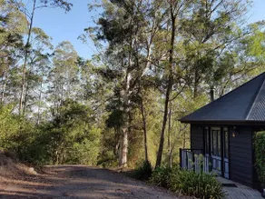 Barrington Tops Nest - Image 1