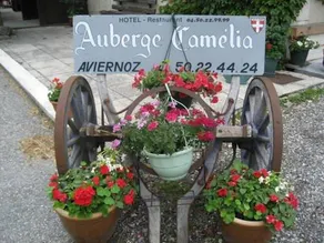 Hotel Auberge Camelia - Image 4