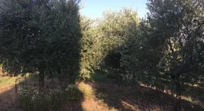 Casa Vacanze Soleluna - Image 4