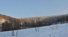 Czarnotka - Image 4