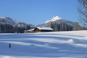Pension Schwaiger - Image 2