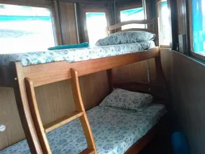 Lo Peix Rainforest Cruises - Image 3