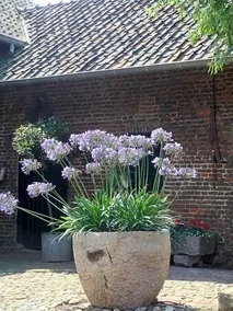 Bed & Breakfast Hoeve Berghof - Image 4