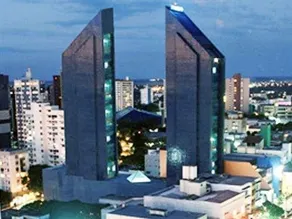 Bourbon Cascavel - Image 2