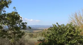 Country House Il Covo della Civetta - Image 4
