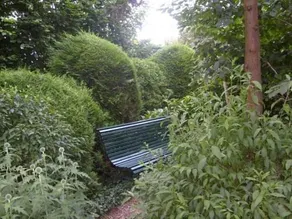 B&B Molenzicht - Image 5