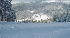 Kappel App 21 - Image 3