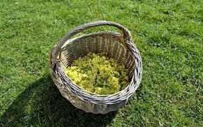 Dobra Chata V Dobre - Image 5
