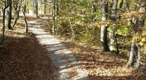 La Bunica - Image 5