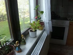 Guest House Tesanovic - Image 4
