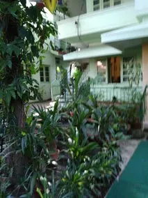 Green Woods Bethlehem - Image 1