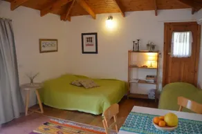 The OLive Tree - Image 3