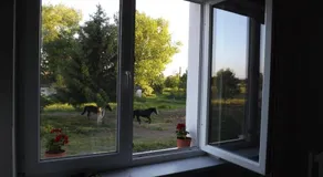 Studniska Horse Centrum - Image 4