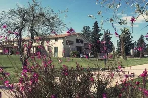 Camilla - Image 2