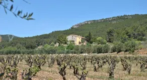 Casa Rural La Fàbrega - Image 3