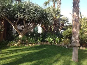 La Pomelia - Image 5