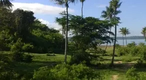 Tropical Garden House - Image 3