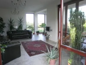 Palma Vendeghaz - Image 4
