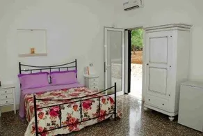 B&B Quasimare - Image 4