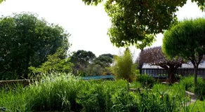 Casa Rosa - Image 3