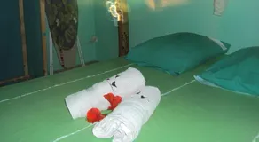 Le nid douillet de petro - Image 3