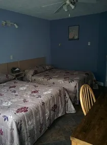 Motel les Pins - Image 2