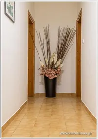 Badis Haus - Image 2