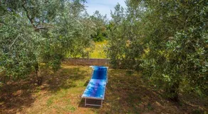 Koseto Tar - Image 5