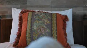 Dora Studios - Image 3