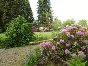 An der Quelle - Image 5