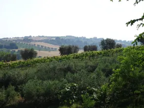 Casacricri - Image 4