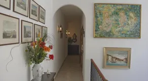 B&B Cactus - Image 3