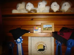 Four Points Alpacas B&B - Image 3