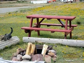 Big Meadow Lodge - Image 5