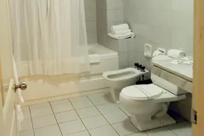 Suites Plaza Las Flores - Image 2