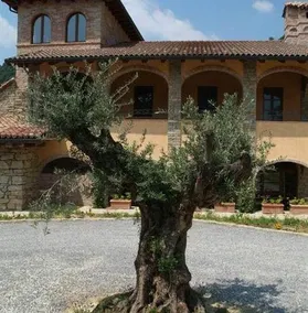 Castel Martino - Image 4