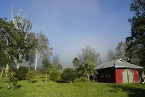 Feathers Home Stay - Image 2