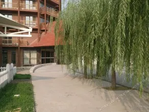 SHUOFENG INTERNATIONAL HOLIDAY HOTEL - Image 5