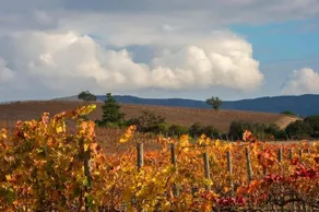 La Casona At Matetic Vineyards - Image 5