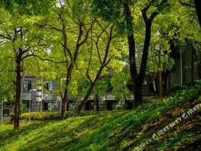 Zhangfei Gudao Holiday Hotel - Image 3