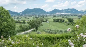 Agriturismo Tognoloni - Image 5