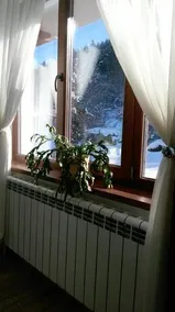 Guest House Rest - Image 2