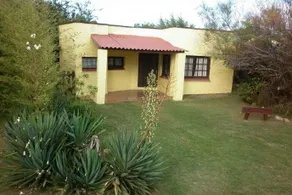 Girasoles La Paloma - Image 2